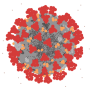 oca_covid19_-_1.png
