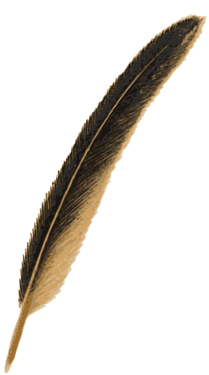 oca_plume_source_2.png
